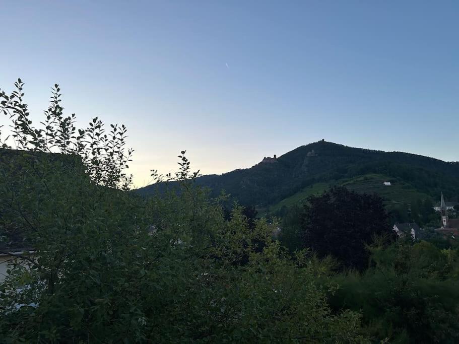 ריביווילה Vue Magnifique Sur Les Chateaux מראה חיצוני תמונה